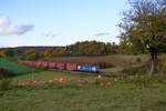 193 582 Boxxpress mit einem Containerzug bei Laaber Richtung Regensburg, 24.10.2020