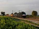 Die ES 64 U2-62 mit einem Containerzug am 10.10.2012 unterwegs bei Langenisarhofen.