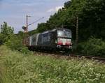 193 850 mit Containerzug in Fahrtrichtung Süden.