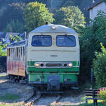 Im Bild die D5 der Brohltalbahn.