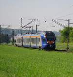 427 004, Flirt der Cantus, gleitet durch ein grnes Meer. Aufgeonommen am 25.04.2009 kurz hinter Friedlos.