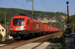 1116 238 der ITL mit einem Containerzug auf den Weg Richtung Dresde kurz vor dem Haltepunkt Stadt Wehlen in Ptzscha, 25.04.09