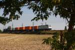 185 548 der ITL zieht einen kurzen Containerzug in Richtung Dresden, hier bei Jessen, 19.08.09