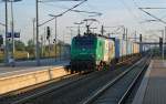 437023 zog am Morgen des 21.08.11 die Blaue Wand durch Bitterfeld Richtung Halle(S).