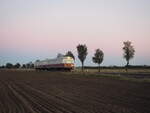 Anlässlich einer Sonderfahrt von Magdeburg nach Loburg und zurück befuhr der histor. Triebwagen DTW 01  Anton  (301 035-1 VT) + Beiwagen der Cargo Logistik Rail Service GmbH am 9.Okt 2021 die nicht mehr SPNV-planmäßig befahrene Strecke nach Loburg via Möckern.
Aufgenommen zwischen Möckern und Zeppernick, als sie Sonne gerade untergegangen war.
(danke an DSO-User  gleislatscher  für die Vormeldung)

Zeppernick, der 09.10.2021