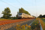 Die Prima 37016 mit einem Kesselwagenzug am 11.09.2016 in Nassenheide.