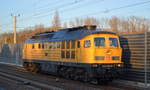 DB Bahnbau Gruppe mit  233 493-6/Lok 13  (NVR-Nummer  92 80 1233 493-6 D-DB ) am 08.03.21 Berlin Blankenburg.