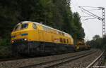 Deutsche Bahnbau Gruppe 218 391-1 mit Bauzug Richtung Regensburg, KBS 880 Nrnberg - Passau, fotografiert bei Maria Ort am 02.09.2011