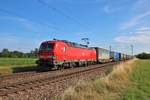 DB Cargo 193 334-0 mit einen KLV am 04.08.19 bei Wolfskehlen