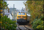 DB 218 477-8 schiebt den DB Netz Instandhaltung Messzug am 30.10.2024 Steuerwagen voraus auf der Zellwaldbahn (Freiberg/Sachs. - Nossen) zum Bahnhof der Bergstadt zurück. Rund anderthalb Stunden zuvor hatte die Diesellok den Messzug von dort über Großschirma und Großvoigtsberg bis zum Strecken-Km 5,64 im Zellwald befördert. Die restlichen Kilometer bis nach Nossen sind momentan nicht befahrbar. Im Hintergrund sieht man die Fahrleitungsmasten der Hauptstrecke Dresden - Werdau/Sachs. (sächs. Streckenkürzel: DW).