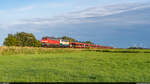 DB 218 390 & RPRS 218 488 / Sylt Shuttle / Neukirchen, 22.