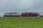 Die Diesellokomotiven 218 341-6 und 218 373-9 sind hier Anfang Juni 2024 bei Friedrich-Wilhelm-Lübke-Koog zu sehen.