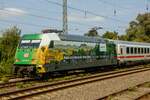 101 019-8  Fahrtziel Natur  DB mit IC2311 in Ostbevern, August 2024.