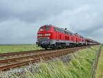 Der von den Diesellokomotiven 218 321-8 und 218 307-7 gezogene SyltShuttle-Zug ist hier kurz vor dem Hindenburgdamm zu sehen. (Friedrich-Wilhelm-Lübke-Koog, Juni 2024)