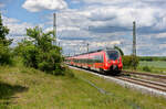 442 266 als S1 39171 (Bamberg - Hartmannshof) bei Eggolsheim, 29.05.2020