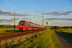 442 746 als S 39198 (Hartmannshof - Bamberg) bei Eggolsheim, 29.05.2020