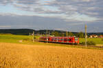 426 035 als RB 58130 (Treuchtlingen - Würzburg Hbf) bei Oberdachstetten, 17.07.2020