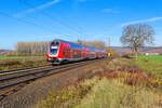 445 050 als RE 4609 (Frankfurt (Main) Hbf) - Bamberg) bei Retzbach-Zellingen, 18.11.2020