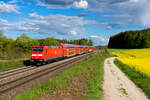 146 241 DB Regio mit RE 4860 (München Hbf - Nürnberg Hbf) bei Parsberg, 14.05.2021