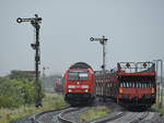 Die Diesellokomotive 245 005 wartet mit den angespannten Doppelstockwagen auf die Weiterfahrt nach Westerland. (bei Niebüll, Juni 2024)