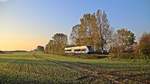 Der 646 110-6 der UBB befuhr am 16.10.17 die Stillegungsbedrohte Strecke Barth-Velgast(-Stralsund), hier am Kenzer Berg als RB29468 auf dem Weg nach Barth wo am Abend die Mahnwache der Bürger in