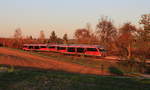 642 186 als RE Hessental-Heilbronn am 06.11.2020 bei Öhringen-Cappel.