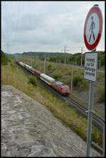 Und sie fahren doch noch: Nach Abstellung aller Loks der Baureihe 145 von DB Cargo Mitte dieses Jahres sind weiterhin zwei Maschinen aktiv.