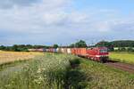 DeltaRail 243 972 (143 972, ex DB)  Emma  mit Containerzug nach Duisburg-Rheinhausen  (Vehrte, 20.07.2021).