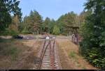 Eine Fahrt auf der Bahnstrecke Dessau–Gohrau-Rehsen (KBS 257) mit 670 003-2  Fürstin Louise  der Dessauer Verkehrs- und Eisenbahngesellschaft (DVE) als DWE75710 von Dessau Hbf nach Wörlitz...
Blick auf den Bahnübergang (BÜ) auf der B 107 mit stillgelegtem Gleis (heute teilweise Draisinenstrecke) zum ehemaligen Kraftwerk Vockerode.
[1.8.2018 | 14:40 Uhr]