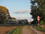 672 913 der DWE passiert als DWE 27779 bei Horstdorf den BÜ der Straße  Am Horstdorfer Bhf.     Oranienbaum, der 11.10.2024