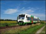 Am 14.07.07 fhrt der TW001 der EIB durchs flache sonnenblumengeschmckte Brandenburger Land  fr die DRE auf der Strecke Hohenbucko-Lebusa - Falkenberg/Elster.