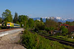 223 013 mit dem Alex auf dem Weg ins Allgäu bei Lindau Aeschach.