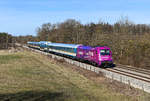 Einen kräftigen Farbakzent in der vorfrühlingshaft kahlen Landschaft setzt aktuell die 183 005 der Länderbahn. Folgenden Hintergrund hat die auffäliige Beklebung in pink und lila sowie die Umbenennung in  Alexa : Einmal feiert die Länderbahn ihr gutes Abschneiden bei einem Ranking zum Thema Gleichstellung und Diversity. Und zweitens möchte man aufgrund Personalmangels auch mehr Frauen für die Arbeit bei der Eisenbahn begeistern. Am 16. März 2020 konnte ich die Lok vor dem ALX 79858 von Hof nach München HBF bei Oberschleissheim fotografieren. 