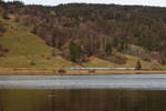 Ein Alex schlängelt sich am Mittag des 21.11.20 am großen Alpsee bei Immenstadt (Allgäu) entlang.