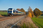 223 081 als ALX (München Hbf - Hof Hbf) bei Naabdemenreuth, 10.11.2019