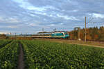 alex 183 003-3 fährt mit ihrem Alex RE2/RE25 durch Hagelstadt in Richtung München. (29.10.2023)