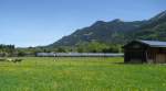 Da zeigten die Rindviecher wenig Interresse.Ein Alex bei der Aussfahrt aus Oberstdorf.17.05.09.