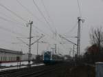 183 005 mit einem Alex nach Hof Hbf aus Mnchen kurz nach Obertraubling, 9.01.2010