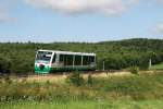 VT 33 der Vogtlandbahn mit VBG 83206 bei Grobau (01.08.2007)