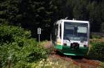 654 036 (VT36) als VBG83142 in Zwota, 16.7.010.