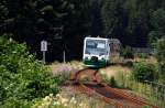 654 036 (VT36) als VBG83142 in Zwota, 16.7.010.