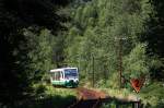 654 042 (VT42) als VBG83113 in Zwota, 16.7.010.