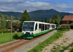 654 041 (VT 41) + 654 040 (VT 40) + 654 043 (VT 43) als Schlerzug am 30.09.2013 bei Lam.