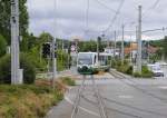 VGB-VT 34 biegt, von der Station Zwickau Stadthalle kommend, in die eigentliche Innenstadtstrecke ein (9.7.14).