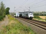 14.08.2015 11:11 rechts: 1442 715 (DB AG Baureihe 442) als S5X der S-Bahn Mitteldeutschland von Zwickau Hbf nach Halle (Saale) Hbf  links: VT 50 der Vogtlandbahn aus Plauen (Vogtland) Oberer Bahnhof