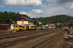  Egronet-Erkundungstour 16.-18.08.2013  Nach dem Stadtrundgang zurück am Bf Bečov n.T. und max. Zugbetrieb, von links nach rechts: 913/813 102 (GW Train Regio) als MOs7109 nach Mariánské Lázně bei Ausf.; MUV 69-583; VT08 (der VBG) als ZOs36084 nach Karlovy Vary d.n.; 810 459 als MOs16745 nach Žlutice und ein weiterer MUV. 17.08.2013 