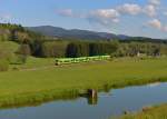 650 661 (VT 26) + 650 651 (VT 16) + 650 654 (VT 19) + 650 660 (VT 25) als WBA1 nach Plattling am 04.05.2014 bei Gotteszell