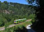 650 662 (VT 27) + 650 651 (VT 16) als RB nach Plattling am 02.08.2013 bei Gotteszell.