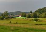 650 661 (VT 26) + 650 657 (VT 22) als WBA1 nach Plattling am 20.07.2014 bei Gotteszell. 