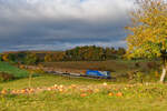 182 911 EVB mit einem Holzzug bei Laaber Richtung Regensburg, 25.10.2020